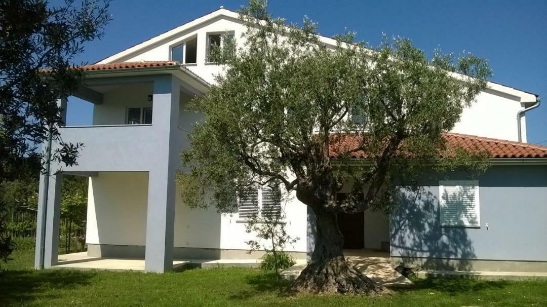 Apartments Villa Ulivo - Apartment Sol Fazana Exterior photo